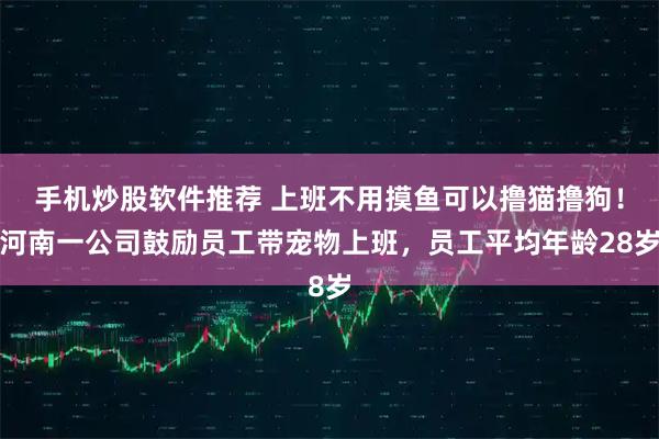 手机炒股软件推荐 上班不用摸鱼可以撸猫撸狗！河南一公司鼓励员工带宠物上班，员工平均年龄28岁